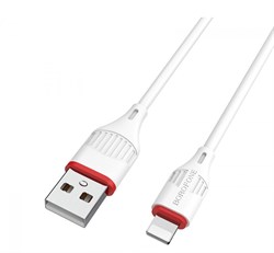 Шнур удлинитель USB 2,0 - TYPE-C (1,0м) Borofone X28