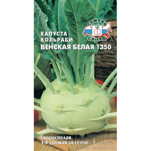 Семена Капуста кольраби Венская белая 1350, 0,5г., Седек