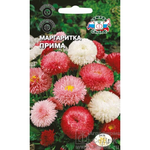 Семена Цветы Маргаритка Прима см, 0,1г., Седек
