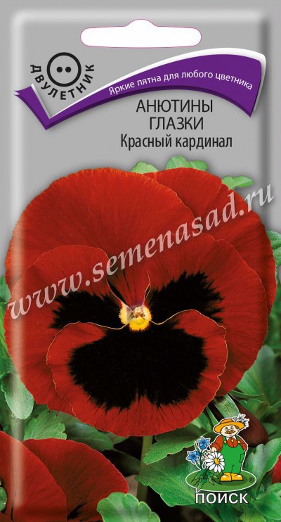 Семена Цветы Виола Красный кардинал, 0,2г., Поиск