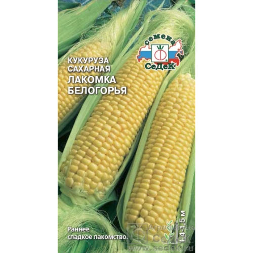 Семена Кукуруза Лакомка Белогорья, 5г., Седек