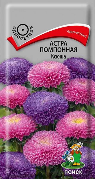 Семена Цветы Астра Помпонная Ксюша см, 0,3г., Поиск