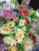 Цветы искуственные 50см (лилия)