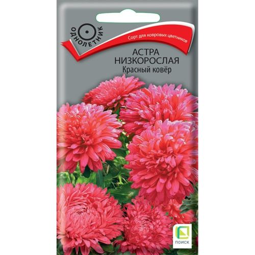 Семена Цветы Астра Красный ковер, 0.2 г, Поиск