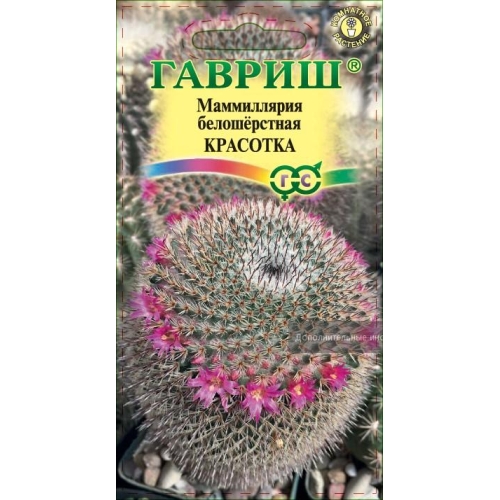 Семена Цветы Кактусы Маммиллярия Красотка, 2шт., Гавриш