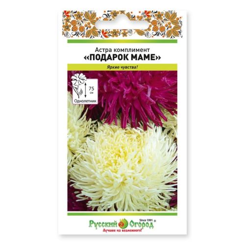 Семена Цветы Астра Подарок маме, 0.2 г, Русский огород