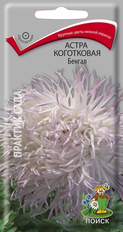 Семена Цветы Астра Бенгал, 0,3г., Поиск