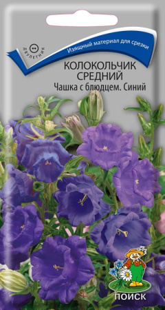 Семена Цветы Колокольчик Чашка с блюдцем синий, 0,1г., Поиск