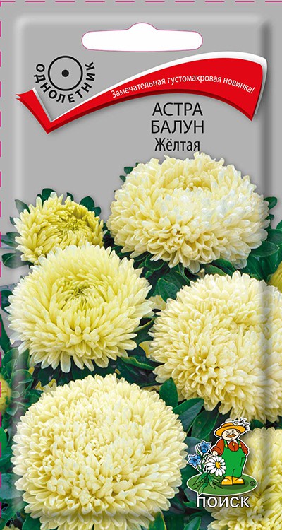 Семена Цветы Астра Балун Жёлтая, 0,1г., Поиск