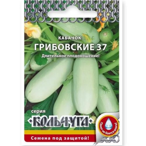 Семена Кабачок Грибовские 37, 1.5 г, Кольчуга, Русский огород
