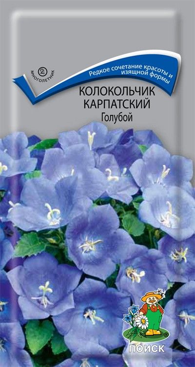 Семена Цветы Колокольчик Карпатский Голубой, 0,1г., Поиск