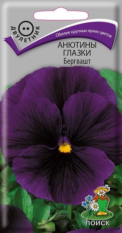 Семена Цветы Виола Бергваш, 0,2г., Поиск