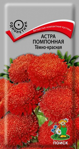 Семена Цветы Астра Помпонная Темно-красная, 0,3г., Поиск
