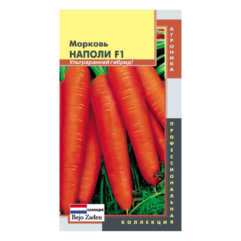 Семена Морковь Наполи F1, 140шт., Плазменные семена