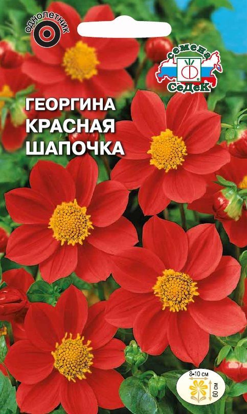 Семена Цветы Георгин Красная шапочка Седек 0,15г