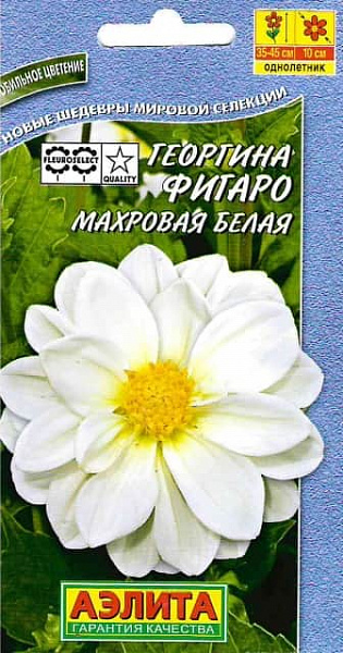 Семена Цветы Георгин Фигаро Белая, 0,05г., Цветущий Сад