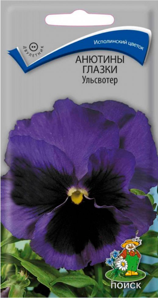 Семена Цветы Виола Ульсвотер, 0,2г., Поиск