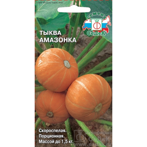 Семена Тыква Амазонка, 1,5г., Седек