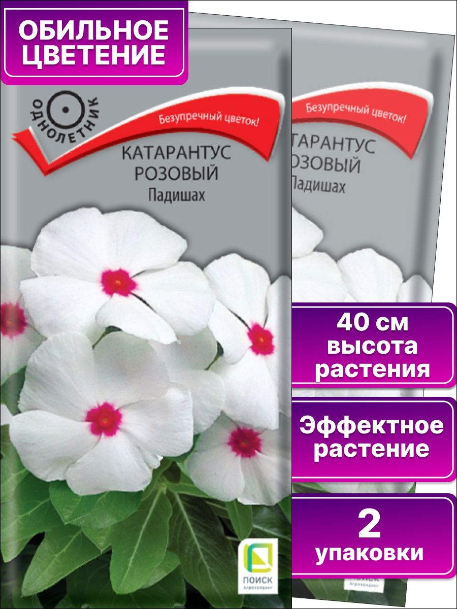 Семена Цветы Катарантус Падишах, 0,1г., Поиск