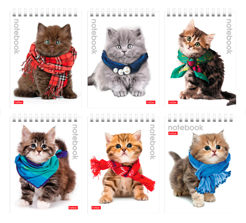Блокнот А6, 40 л.,гребень, лакированная обложка, клетка, HATBER, "Милые Котята", 004667, 40Б6B1гр