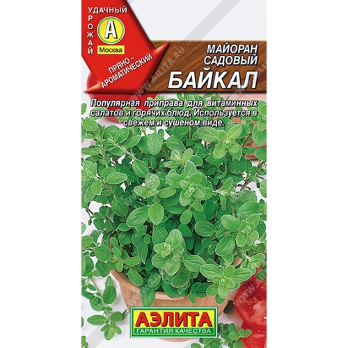 Семена Майоран Байкал садовый, 0,1г., Аэлита