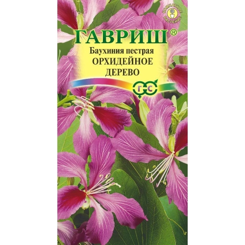 Семена Цветы Баухиния Орхидейное дерево, 3шт., Гавриш