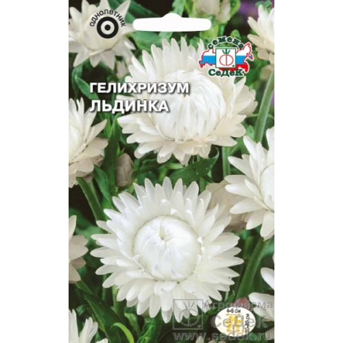 Семена Цветы Гелихризум Белый Льдинка, 0,2г., Седек