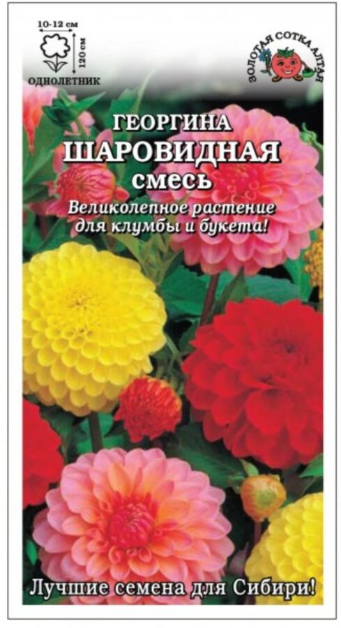 Семена Цветы Георгин Шаровидная см, 0,2г., Золотая Сотка Алтая