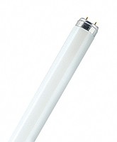Лампа люминесцентная L 36/765 G13 OSRAM SM