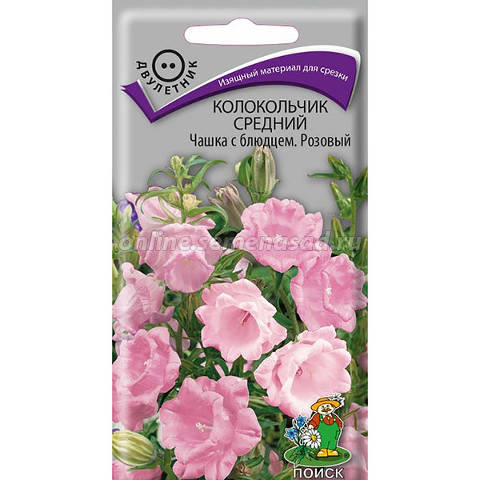 Семена Цветы Колокольчик Чашка с блюдцем розовый, 0,1г., Поиск