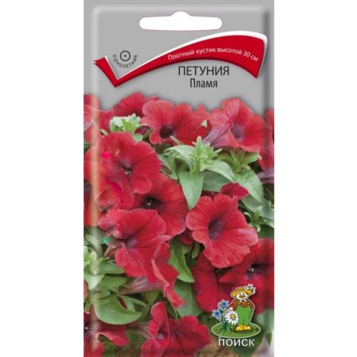 Семена Цветы Петуния Пламя, 0.1 г, Поиск