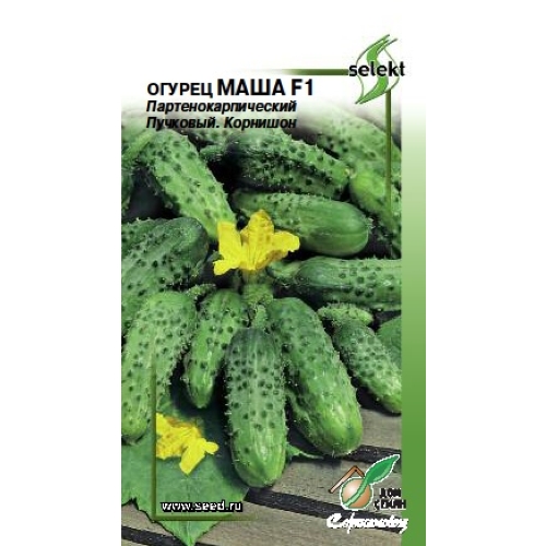 Семена Огурец Маша, 6шт., Дом Семян С-П