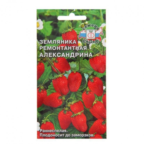 Семена Земляника Александрина, 0,04г., Седек