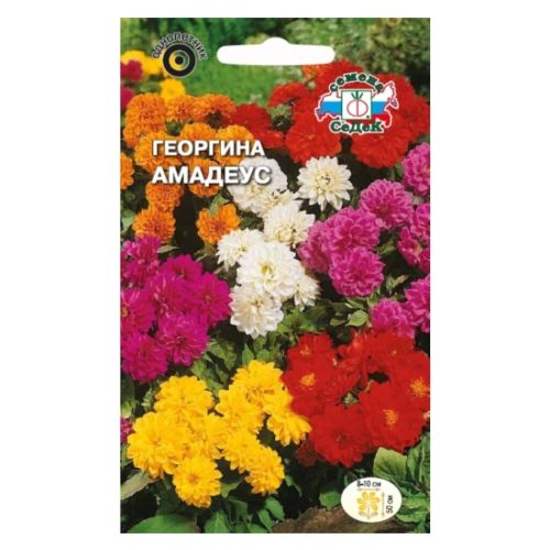 Семена Цветы Георгина Амадеус, 0.15 г, смесь, Седек