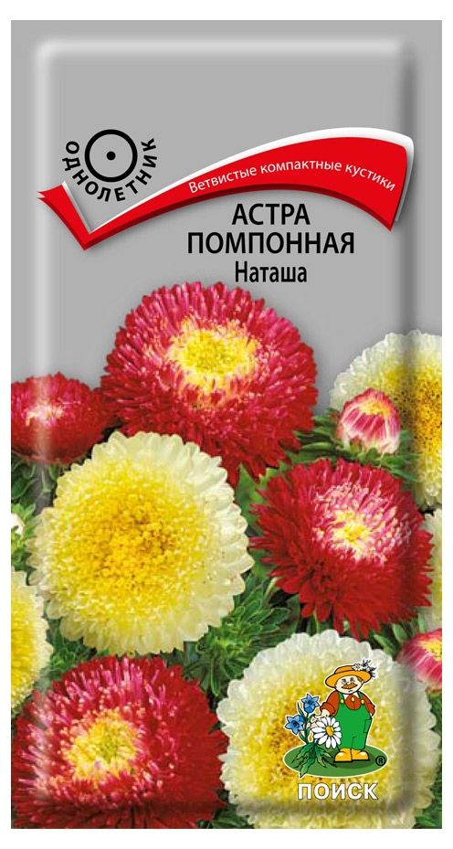 Семена Цветы Астра Помпонная Наташа см, 0,3г., Поиск