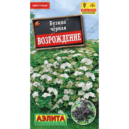 Семена Бузина Черная Возрождение, 0,5г., Аэлита