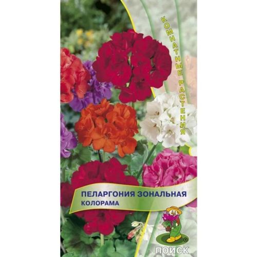 Семена Цветы Пеларгония Зональная Колорама, 0.05 г, Поиск