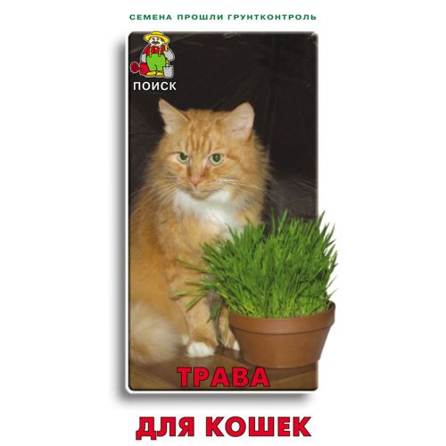 Семена Газонная Трава для кошек, 10г., Поиск