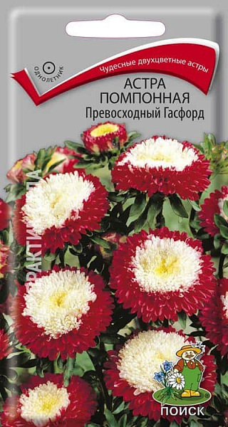Семена Цветы Астра Помпонная Превосходный Гасфорд, 0,3г., Поиск