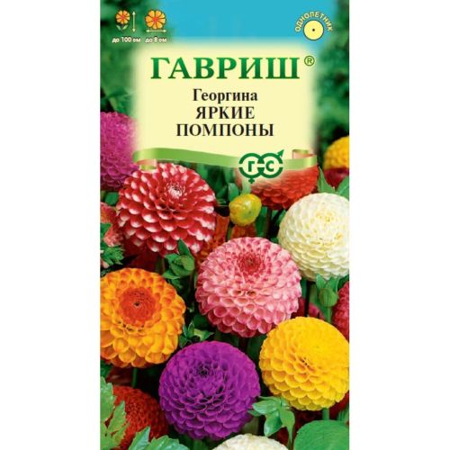 Семена Цветы Георгина Яркие помпоны, 0.2 г, Гавриш