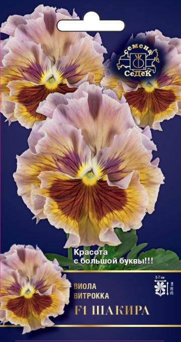 Семена Цветы Виола Шакира, 5шт., Седек