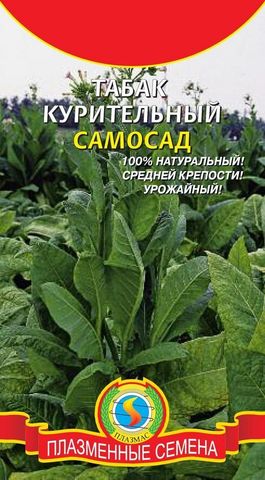 Семена Табак Самосад, 300шт., Плазменные семена