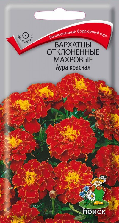 Семена Цветы Бархатцы Аура красная, 0,4г., Поиск