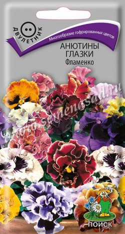 Семена Цветы Виола Фламенко см, 10шт., Поиск