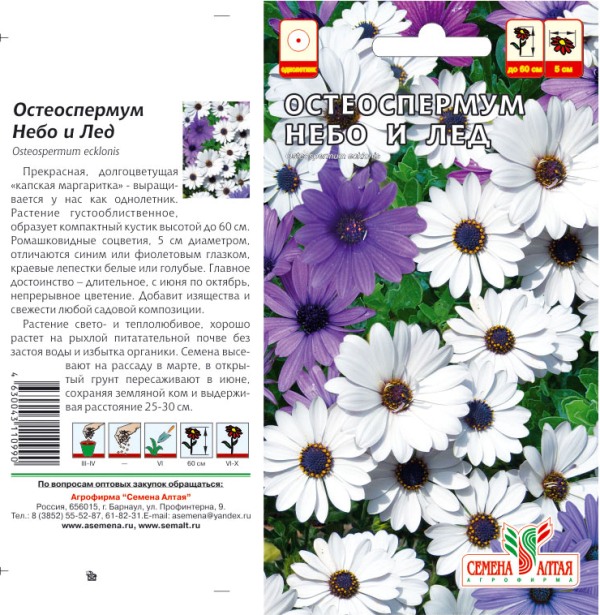 Семена Цветы Остеоспермум Небо и лед, 0,1г., Семена Алтая