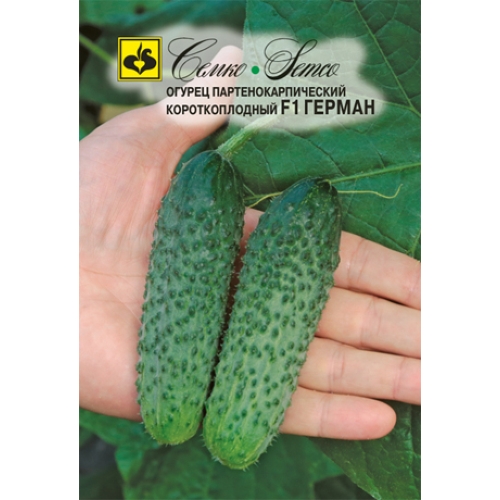Семена Огурец Герман, 5шт., Семко