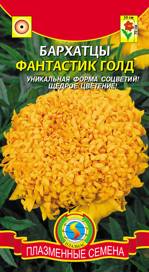 Семена Цветы Бархатцы Фантастик Голд, 30шт., Плазменные семена