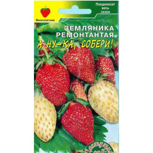 Семена Земляника А ну-ка собери! См, 0,03г., Цветущий Сад