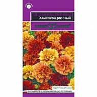 Семена Цветы Бархатцы Розовый Хамелеон, 5шт., Гавриш