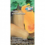 Семена Тыква Мускатная, 2г., Седек